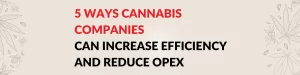 5 Ways Cannabis Companies Can Increase Efficiency and Reduce OPEX